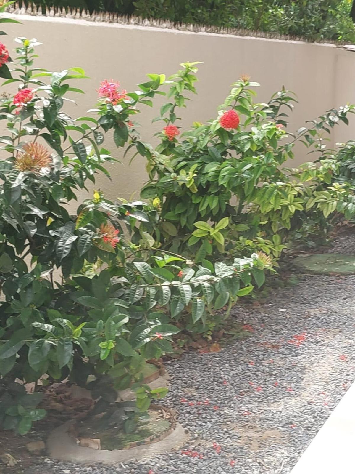 Ferienwohnung Flat Em Porto De Galinhas A 50 Metros Do Mar Exterior foto